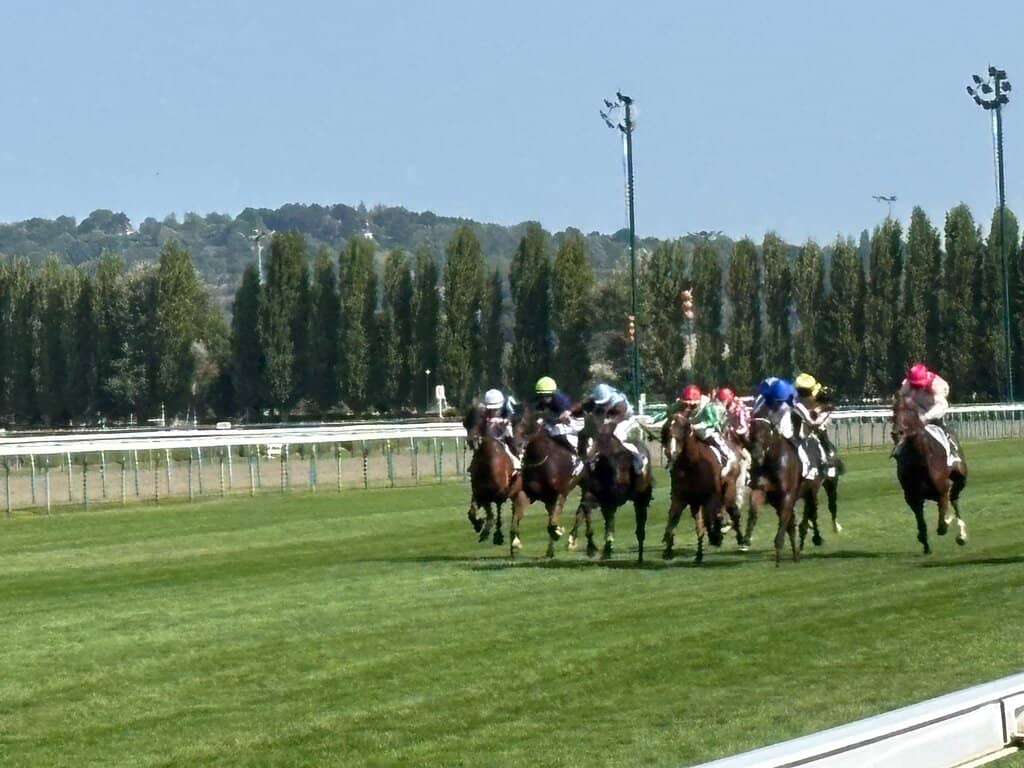 Beautiful Racecourse Views