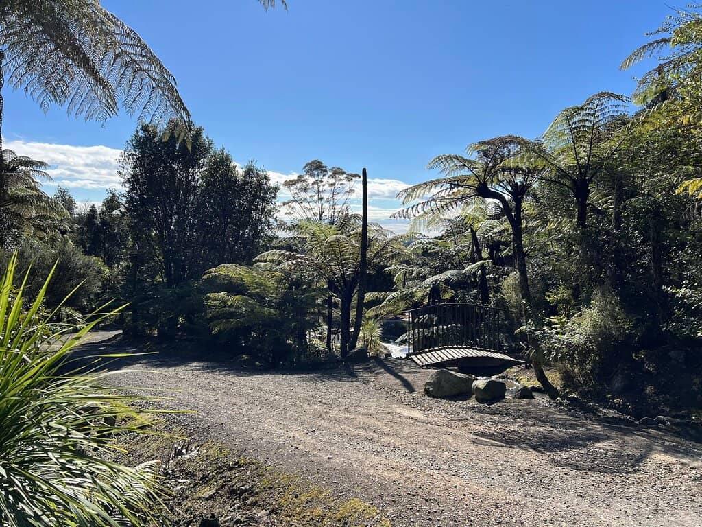 Panoramic Views