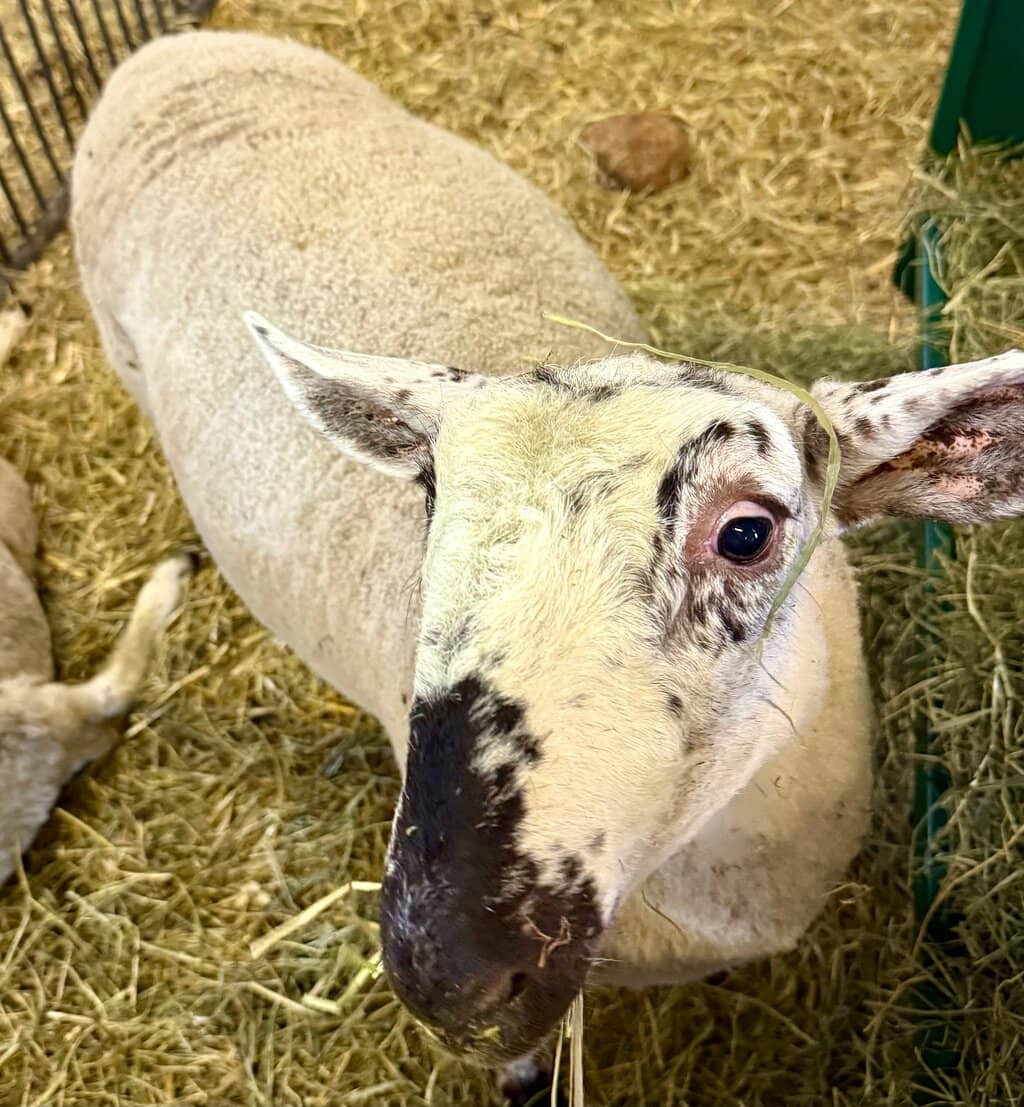 Cooking & Educational Programs