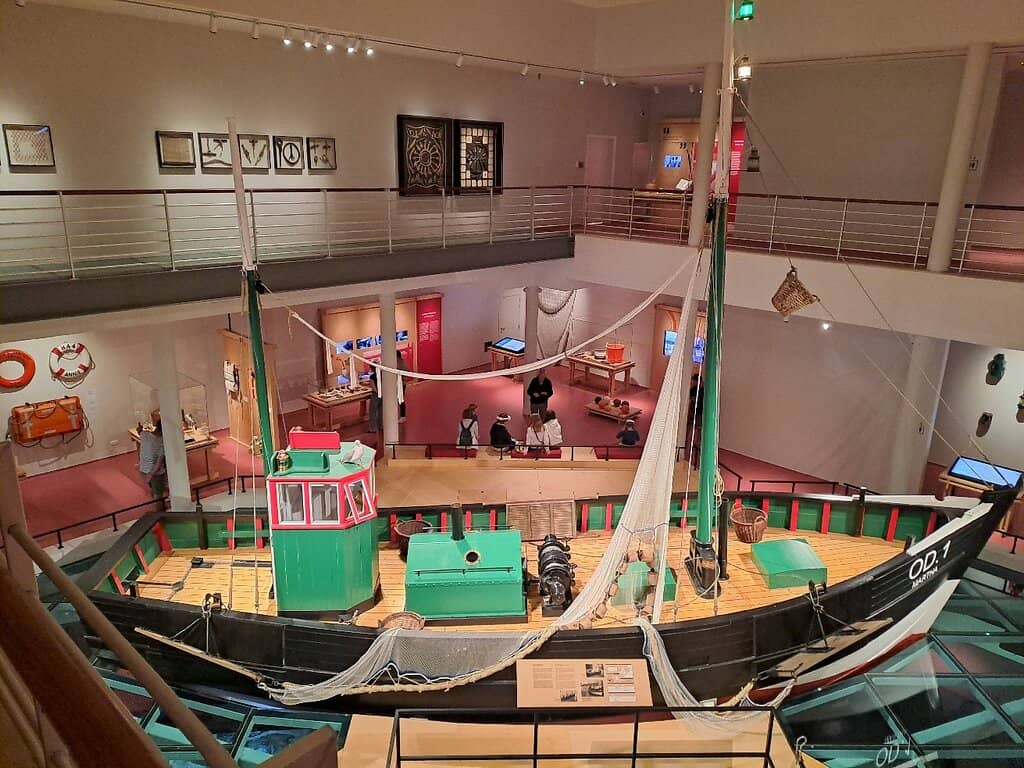 Whale Carcass Exhibit (Future)