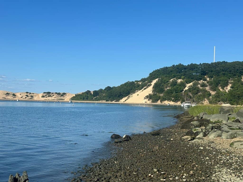 Adaptive Play Features