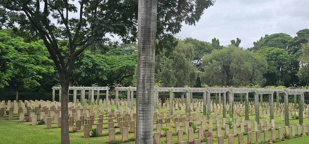 Rows of Gravestones