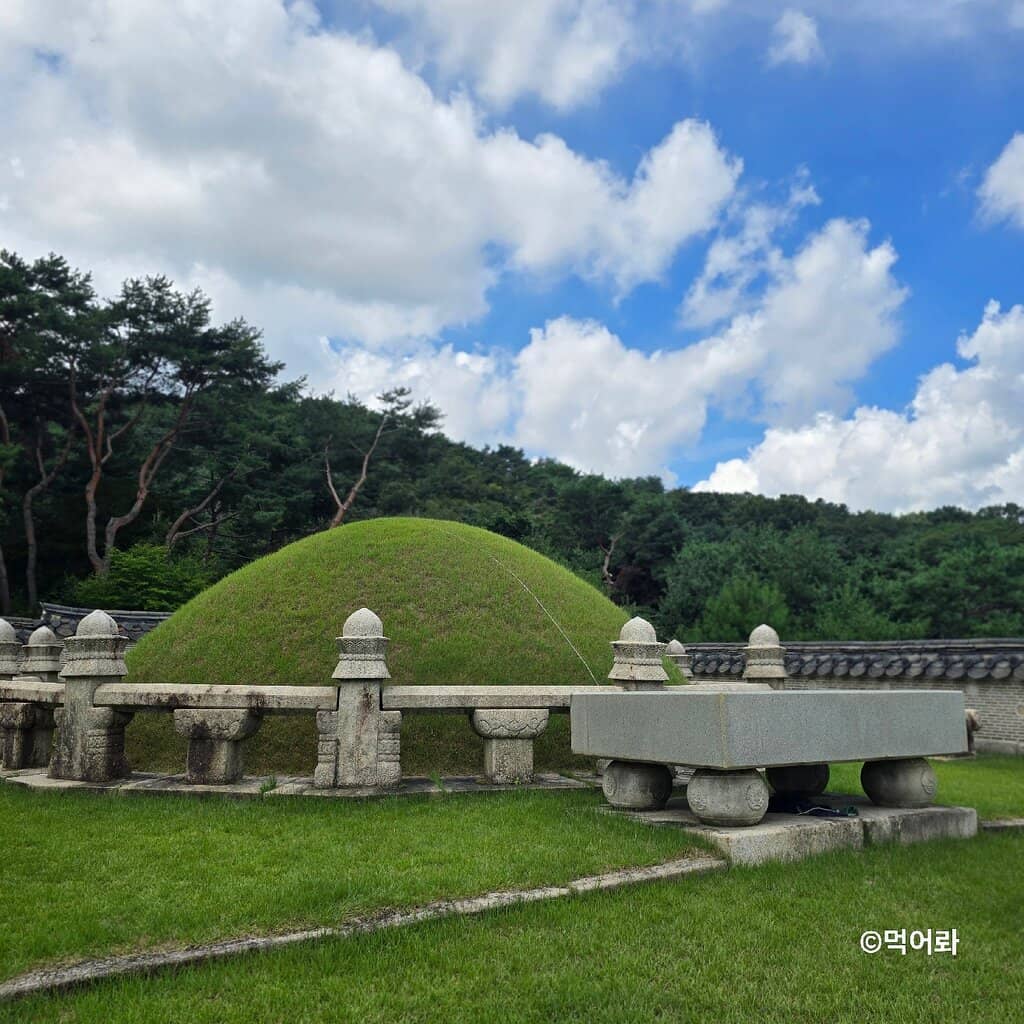 Surrounding Nature