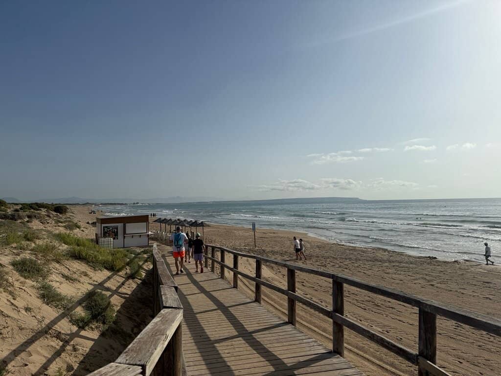 Expansive Sandy Shores