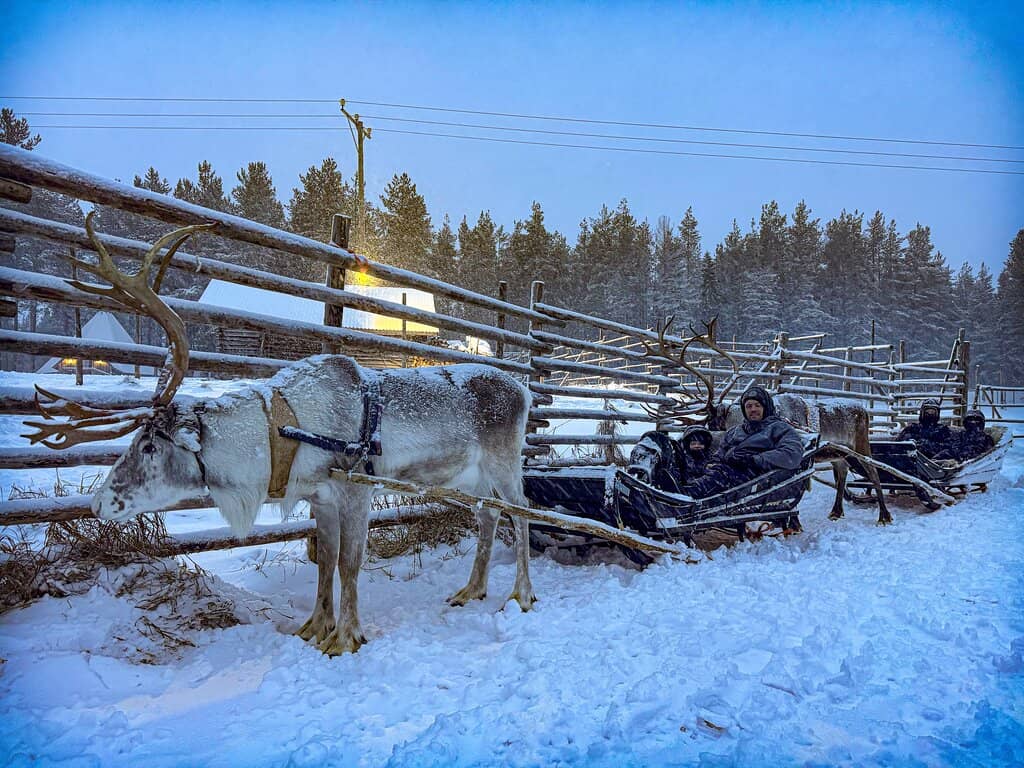 Feeding the Reindeer