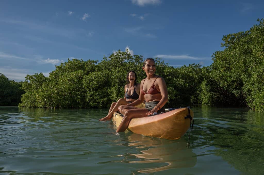 Educational Mangrove Ecosystem Tour