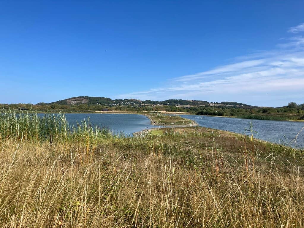 Estuary Saltmarsh Walk