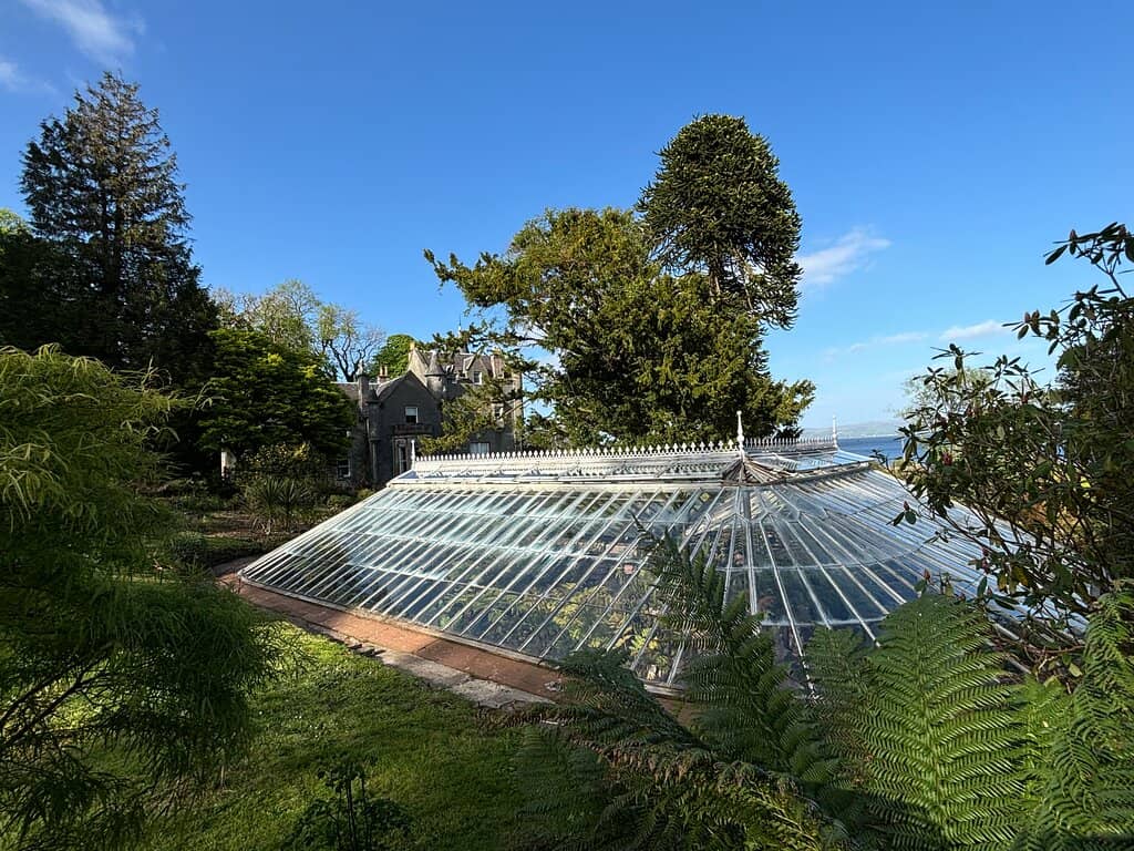 Azaleas & Rhododendrons
