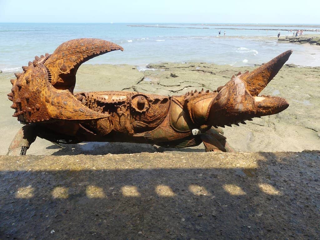 Coastal Scenery