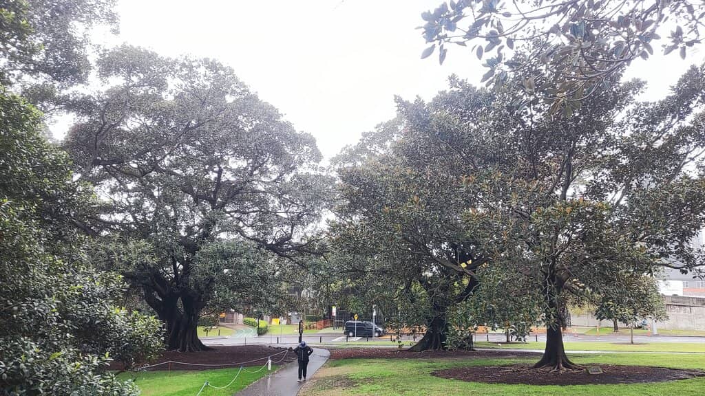 Pex Hill Nature Area