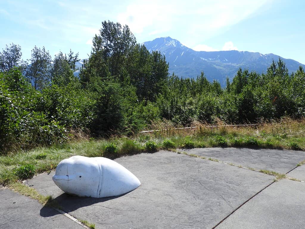 Accessible Boardwalks