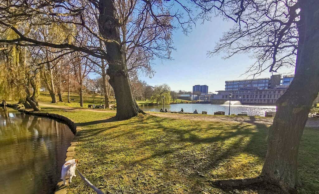 Wivenhoe House Views