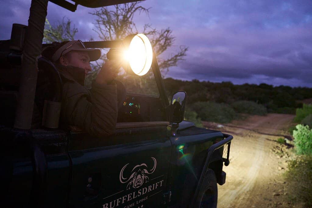 Meerkat Tour