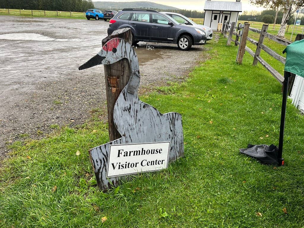 Diverse Waterfowl Viewing