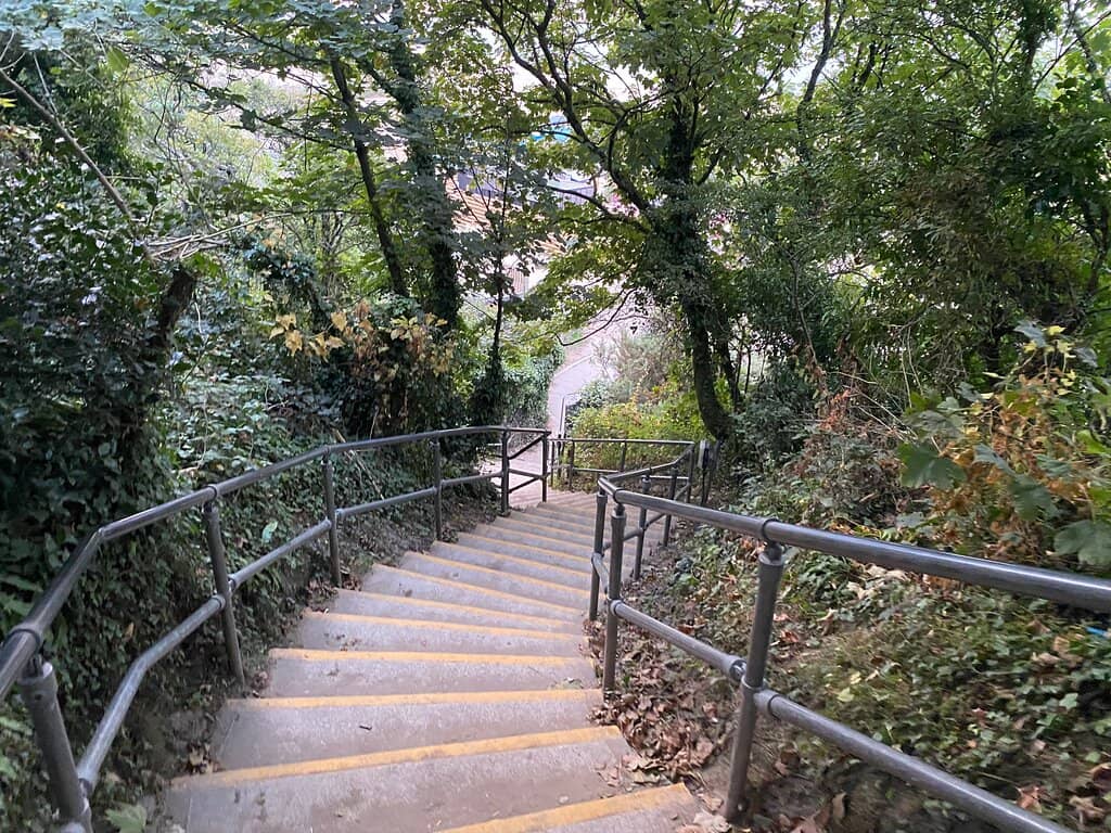 Rock Pooling Adventures