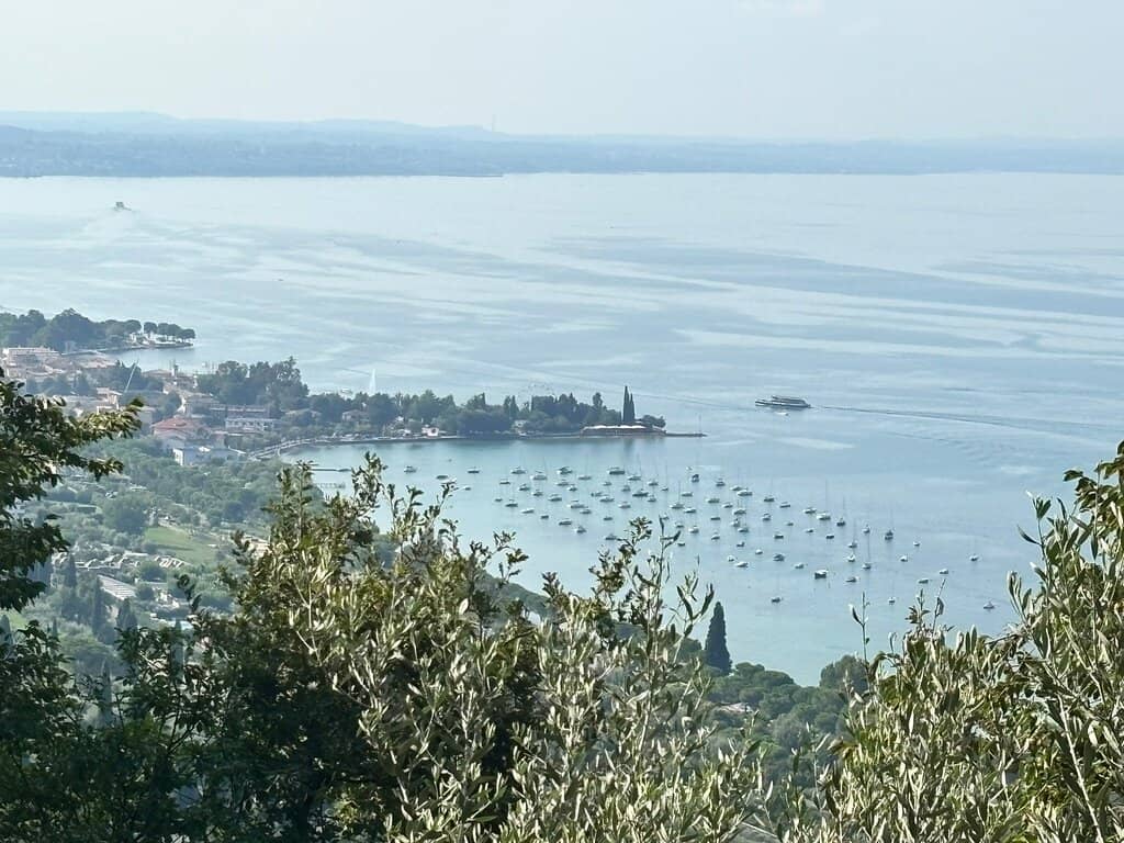 Shaded Forested Path