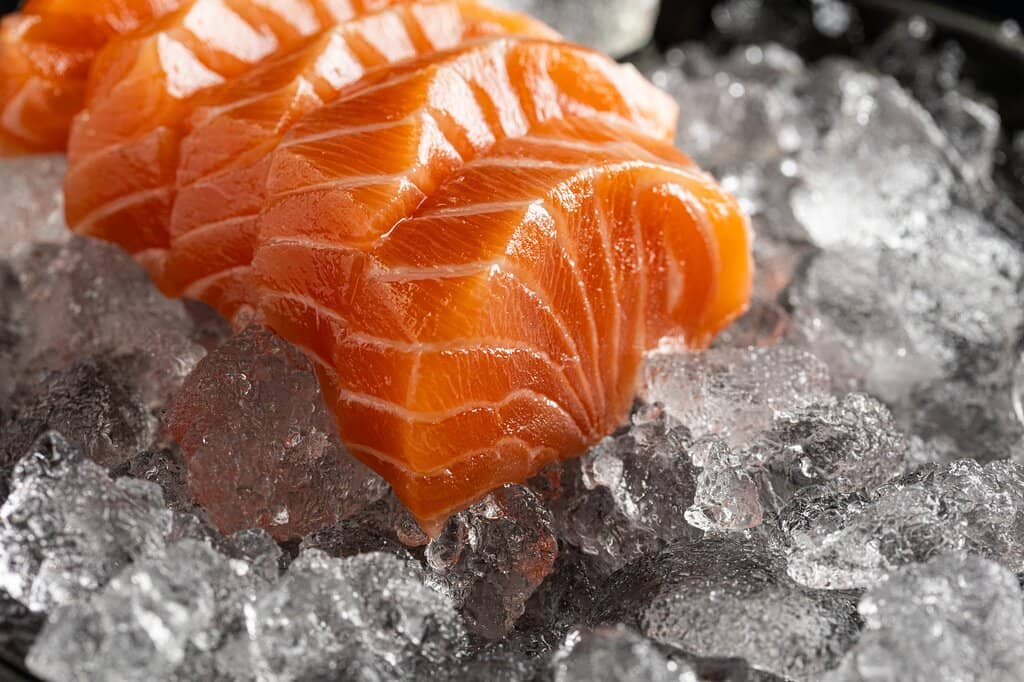 Fresh and Well-Prepared Sushi