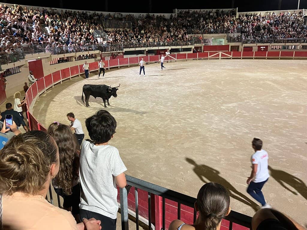 Concerts and Special Events