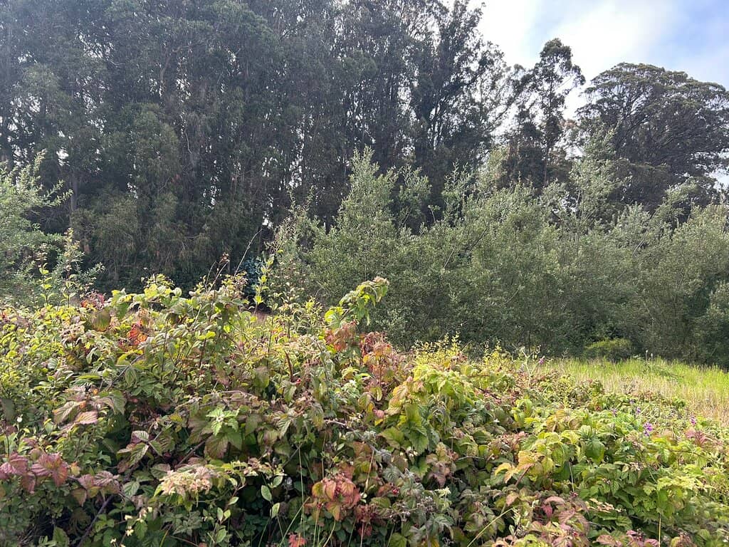Vertical photo