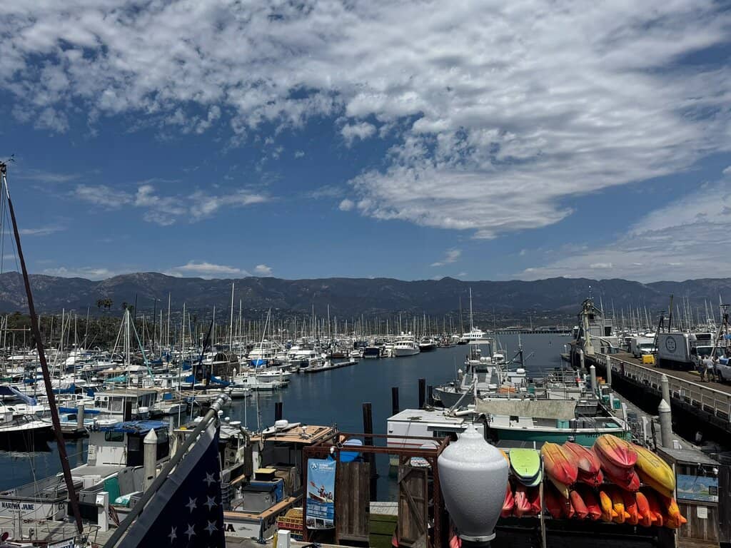 Award-Winning Clam Chowder