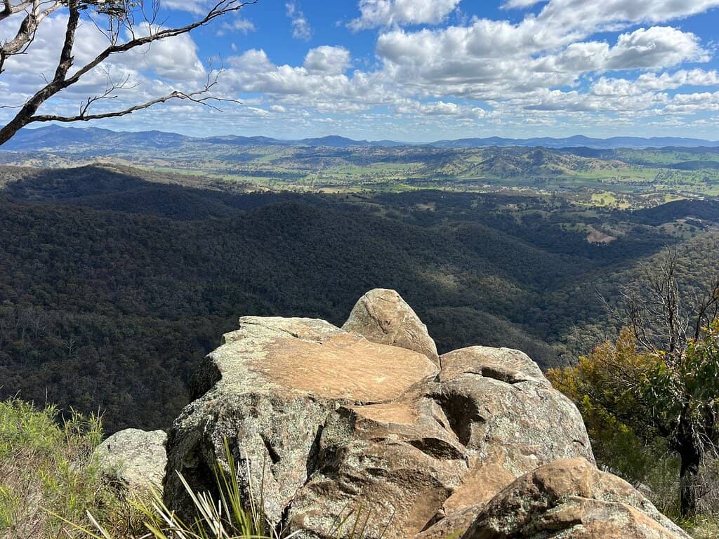 Picnic Spot Perfection