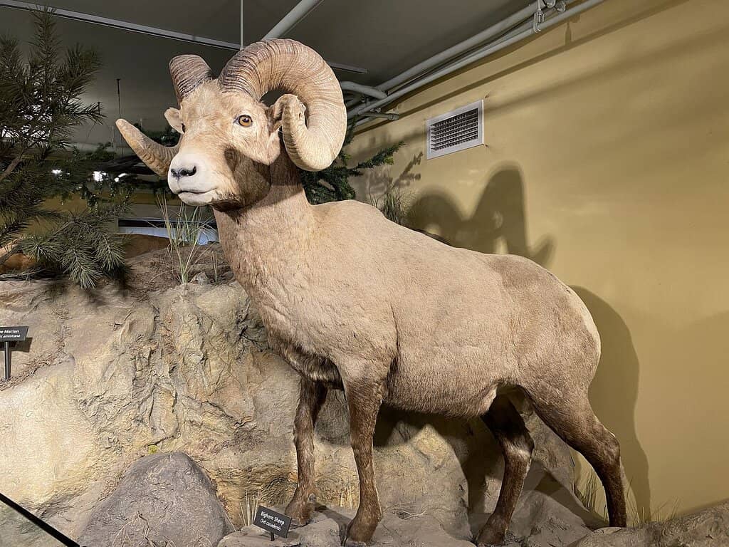 Historic Architecture