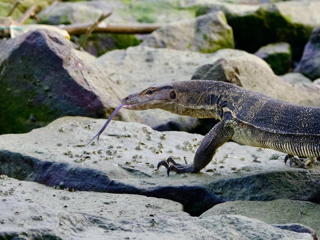 Romantic Sunset Views