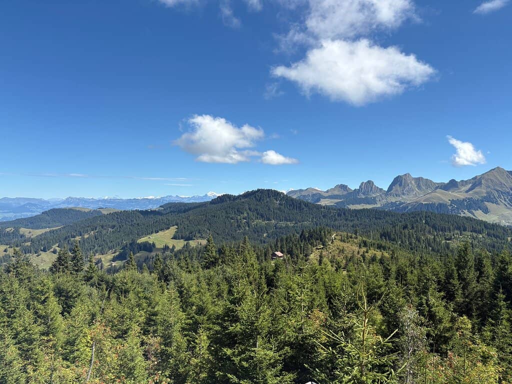 Schwarzsee Stroll
