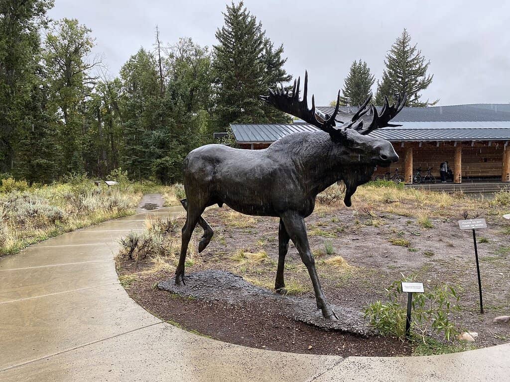 Panoramic Teton Views