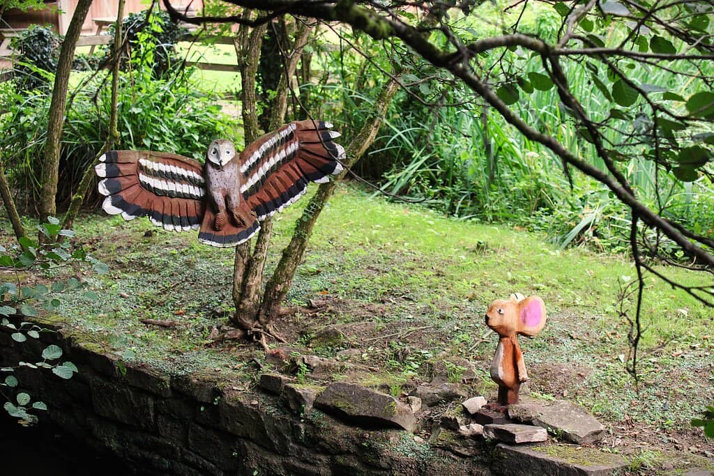 Outdoor Play Area