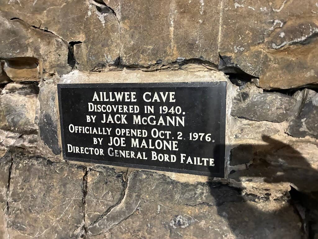 Hawk Walk Experience