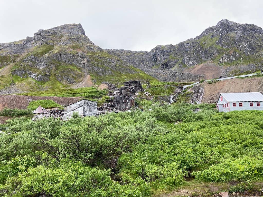 Talkeetna Mountains Views