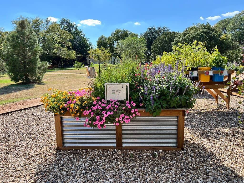 Pumpkin Trail (Seasonal)