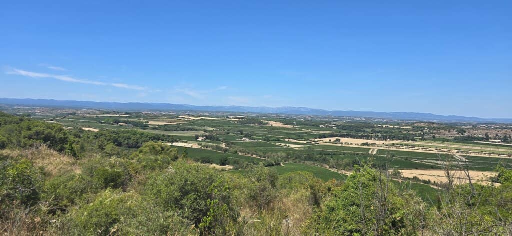 Panoramic Views