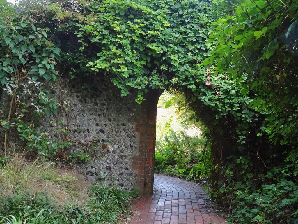 The Woodland Walk