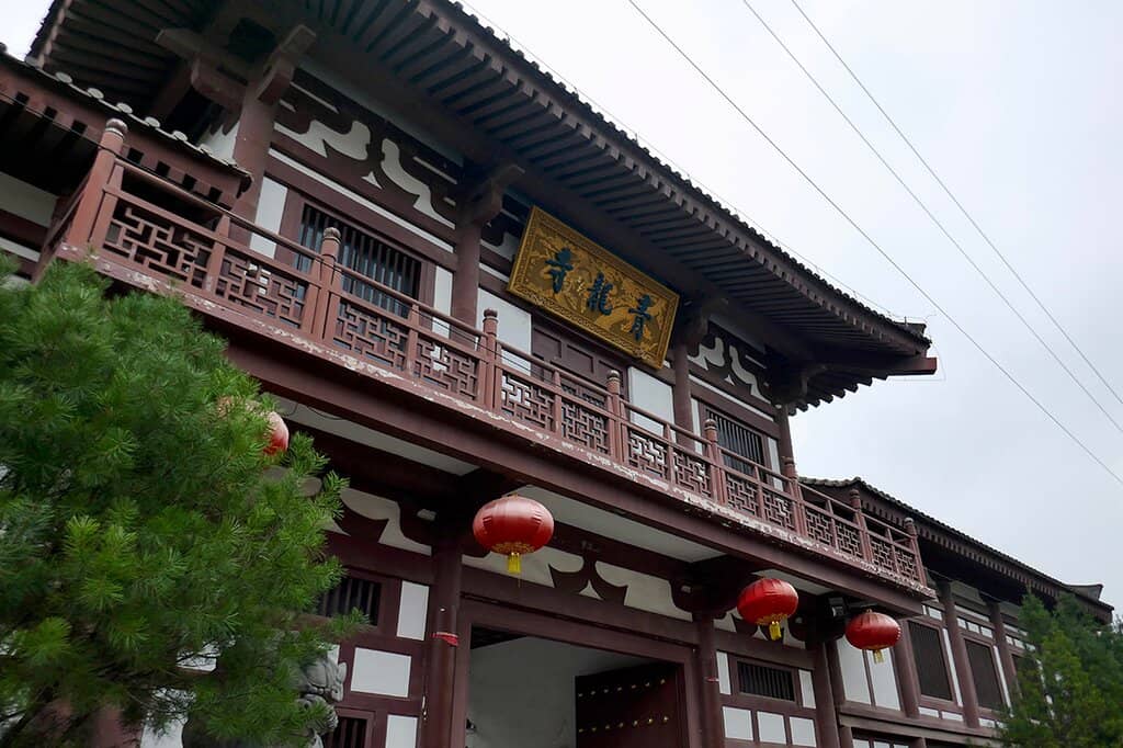 Cherry Blossom Spectacle