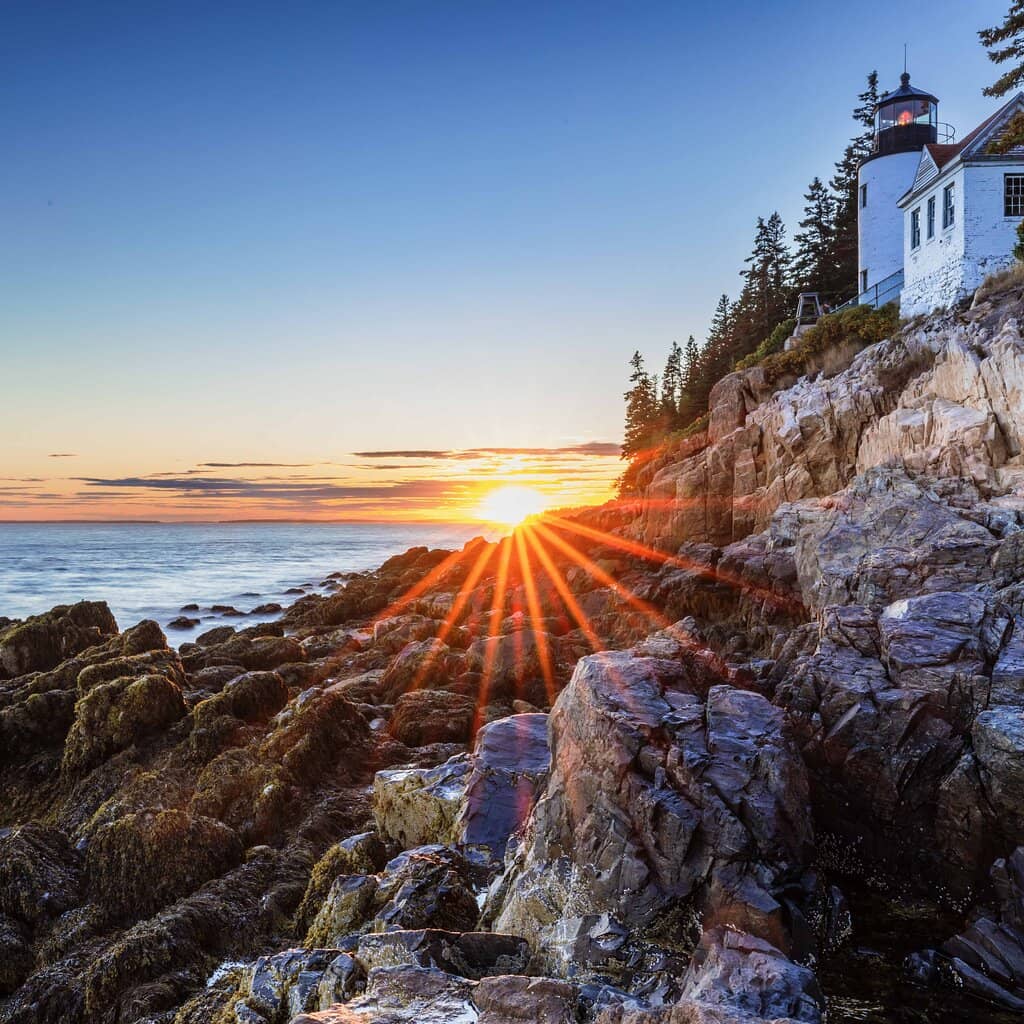 Tide Pool Exploration