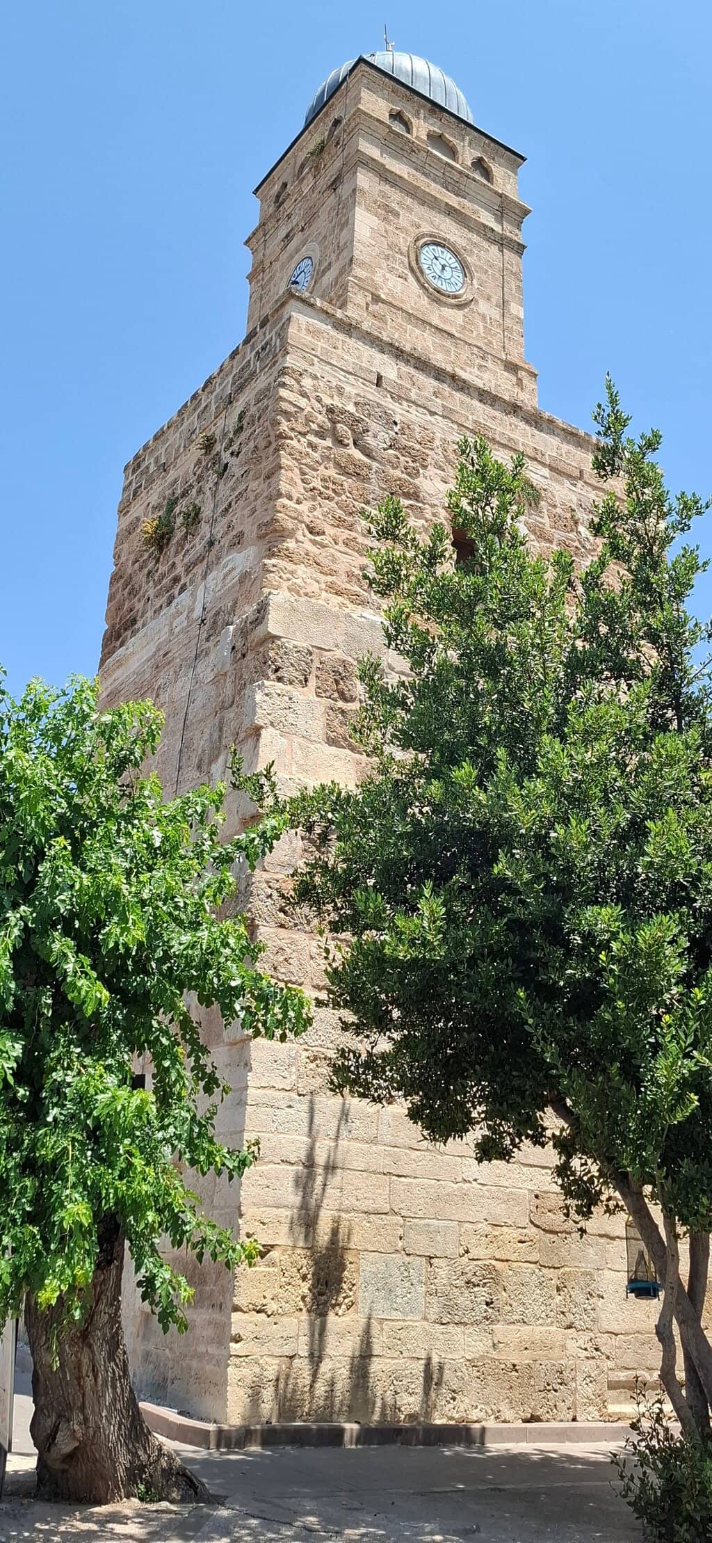 Vertical photo