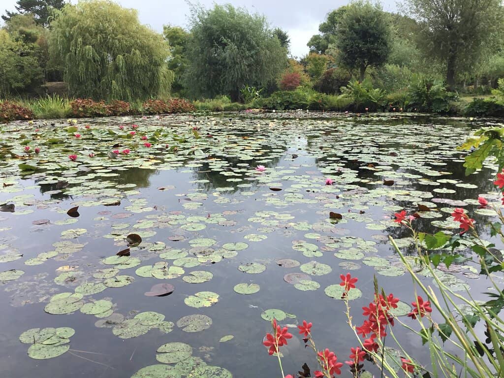 Local History Museum