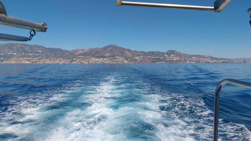 Diverse Dining Options