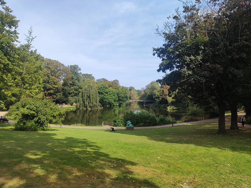 The Serene Lake