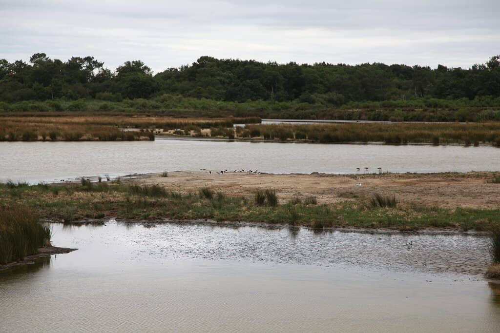Belvédère du Teich
