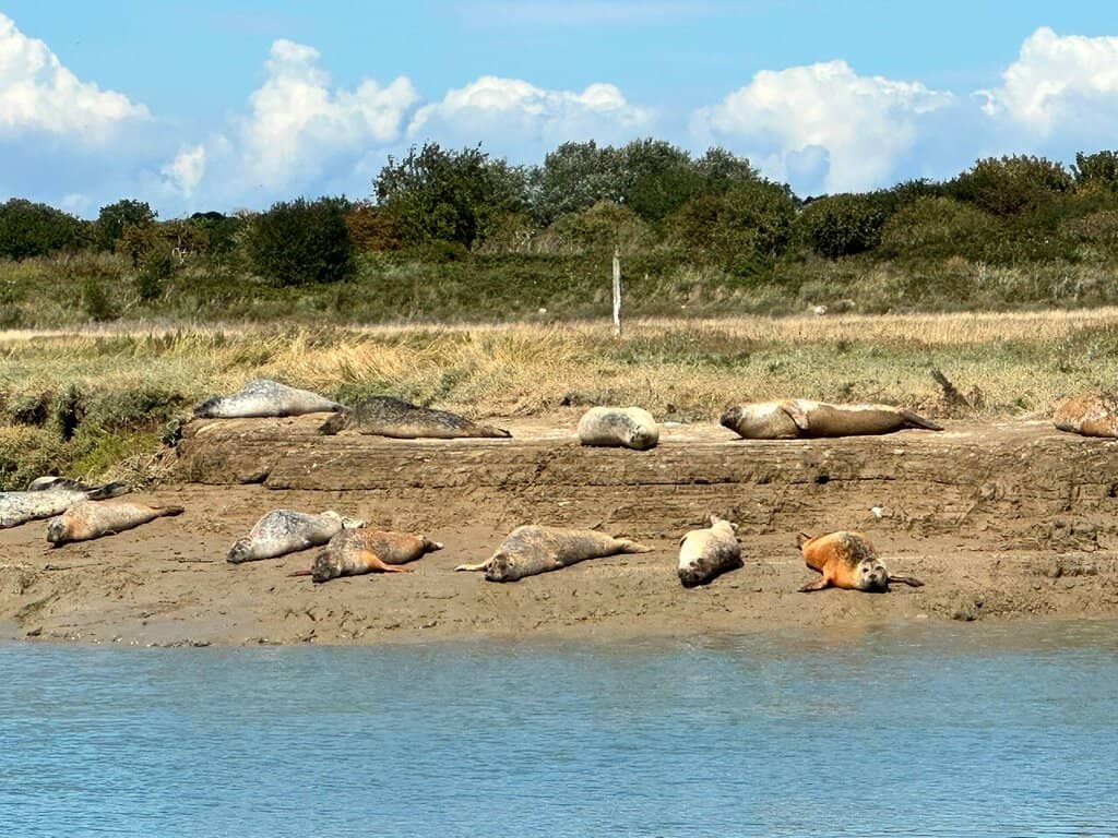 Historical River Commentary