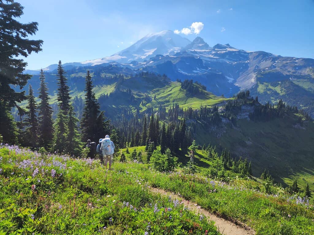 Wildflower and Wildlife Season