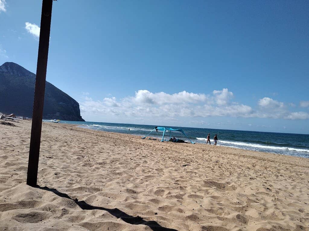 Vertical photo