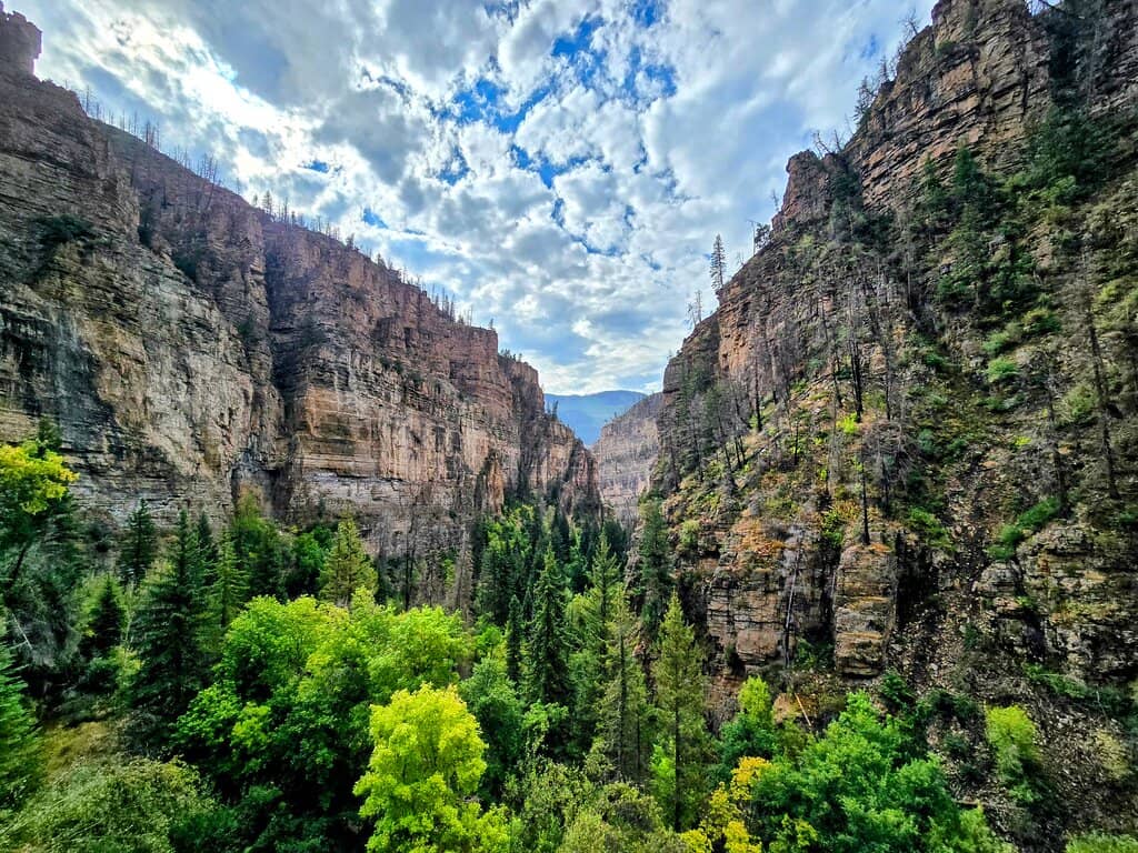 Vertical photo