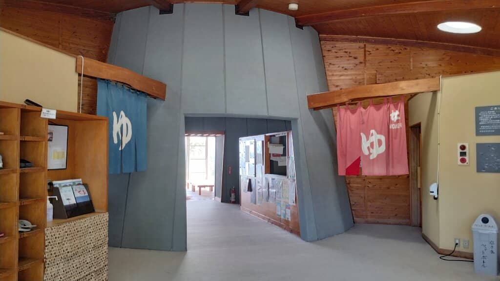 Sea of Nemophila Blooms