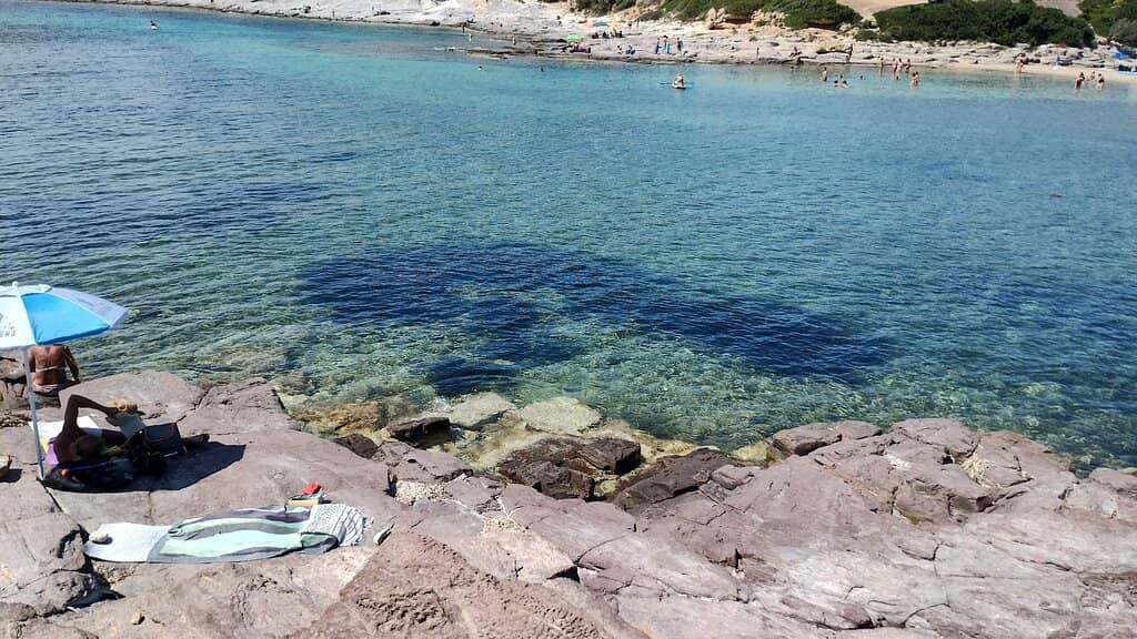 Seafood Dining with a View