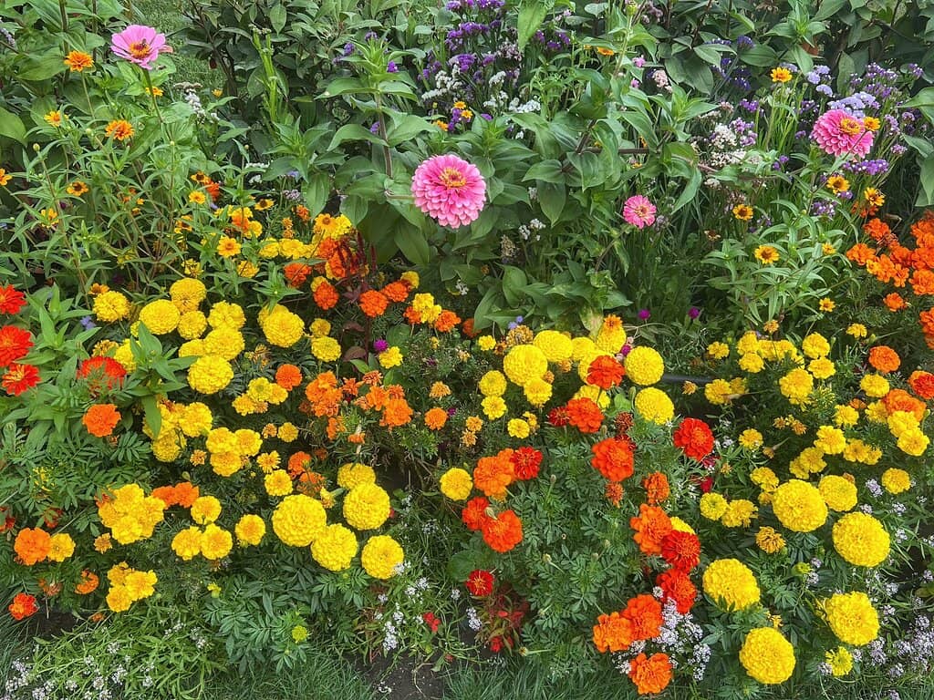 Monastery Gardens