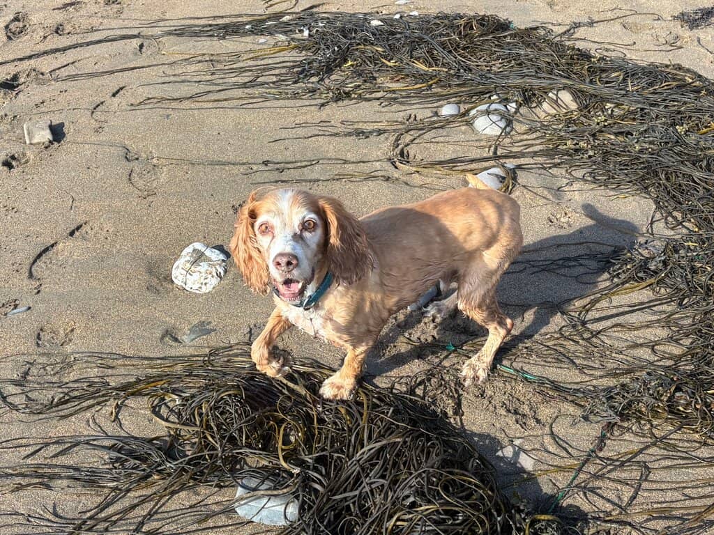 Unique Rock Formations